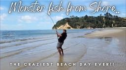 Beach fishing for Yellowtail kingfish - Craziest day Ever!