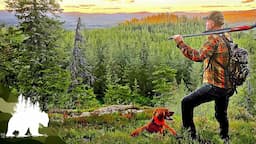 Nordic Wild Hunter: Expedition Norway | FD Adventure