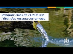 State of Global Water Resources report 2023 - French