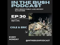 New Mexico Public Land Archery Elk Success