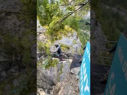 Canyon rope swing in Grindelwald, Switzerland