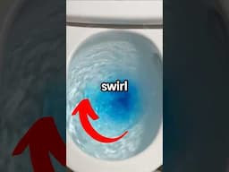 Do Toilets Swirl In The Opposite Direction In Australia?