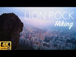 Hiking Lion Rock in Hong Kong 4K (2024)