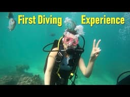 How you Can Go Scuba Diving in Iran | Kish Island