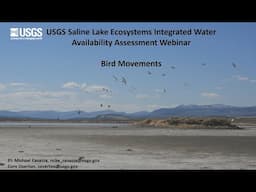 Saline Lakes Ecosystems IWAA Fall 2024 Webinar Series: Bird Movements