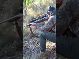 Hunting Deer For Dinner In The Wild #hunting #survival