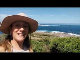 Gracetown e il passaggio delle balene #westernaustralia - Dr. Daniela Scaccabarozzi