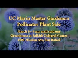 UC Marin Master Gardeners Pollinator Plant Sale 2024