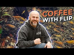 Ep. 56 How To Boost Shrimplet Survival Rates - Coffee With Flip [Aquarium Podcast]