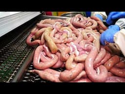 Shocking! How to make traditional Korean sausages using pig intestines.