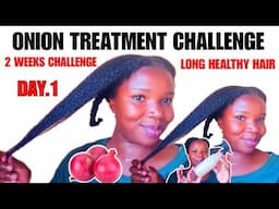 DAY 1: ONION JUICE FOR HAIR GROWTH | 14 Day Onion Hair Growth Treatment