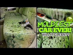 Deep Cleaning the MOLDIEST BIOHAZARD Car You've Ever Seen - You Won't Believe the Before and After!