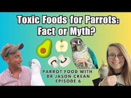 Toxic Foods for Parrots - Fact or Myth? | Parrot Food With Dr Jason Crean Episode 6 | BirdNerdSophie