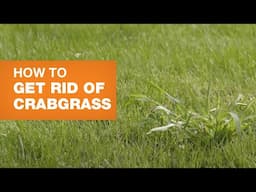 How to Get Rid of Crabgrass