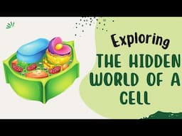 Hidden World of a Cell | Animation