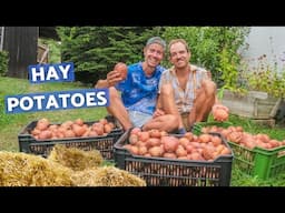 We couldn't believe it (Potatoes grown in hay) | Life on a small farm in Central Europe