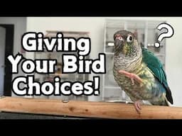 Giving Your Bird Choices & Why It's So Important | Choice & Parrots | TheParrotTeacher