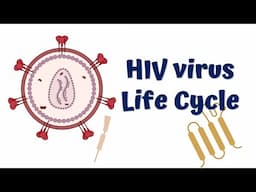 HIV life cycle animation || HIV infection || HIV replication