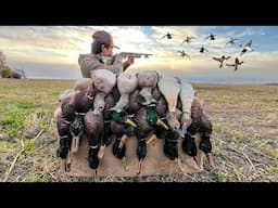 Lentils Field Mixed Bag Duck Hunting! (3-MAN LIMIT)