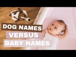 Dog Names Versus Baby Names: Pet Name to Baby Name Pipeline