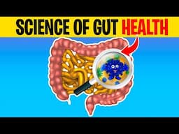 Understanding the Science of Gut Health and Why It Is So Important