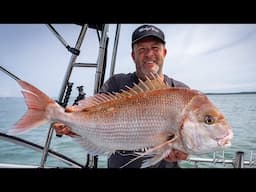 Snapper Frenzy: A Day of Fishing Fun !!