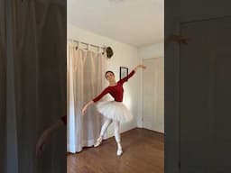 Taylor Swift X ballet? #ballet #swiftie