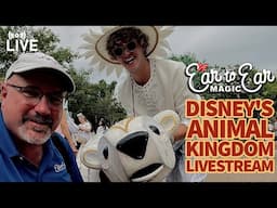 🔴 LIVE - Disney's Animal Kingdom - Walt Disney World Livestream 10.14.2024