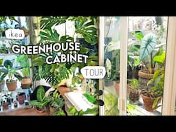 Greenhouse Cabinet Houseplant TOUR 🪴