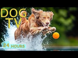 DOG TV: Video All Day Entertain for Dogs While You're Away - Best Music to Prevent Anxiet for Dogs