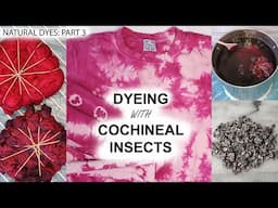 Natural Dyes Part 3 Dyeing with Cochineal Insects