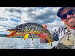 Trolling Spoons for Pike