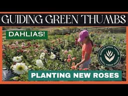 PLANTING ROSE BUSHES / FULL BLOOM DAHLIA GARDEN TOUR