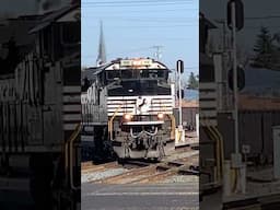 RR Diamond Action At The Crossing!  Norfolk Southern, Muncie Indiana Trains, JawTooth shorts