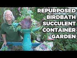 How To Repurpose A Birdbath Into A Beautiful Succulent Container Garden, DIY Upcycle Gardening Idea