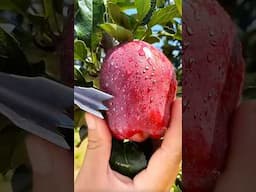 Best Exotic Fruits Ever!🍓#fruits #ExoticFruits #RareFruits #tastyfruitscutting