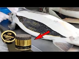 Salmon Eggs & Sturgeon Caviar Harvesting Method - Modern Tilapia Farming Technology & Processing