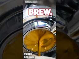 Grind  Tamp  Brew  Repeat 1