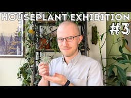 Houseplant Exhibition No. 3