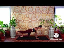 Grounding Root Chakra Vinyasa Yoga Flow (60 Min) Chakra Series #1 | Trilogy Sanctuary