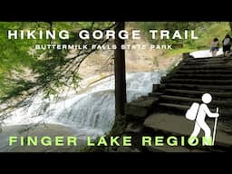 GEMS of Ithaca - Gorge Trail Hike at Buttermilk Falls State Park |  FINGER LAKE REGION