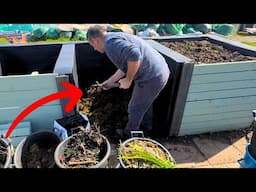 5 Expert Composting Tips for Beginners