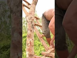 How Build Tree House #shorts #trending #treehouse