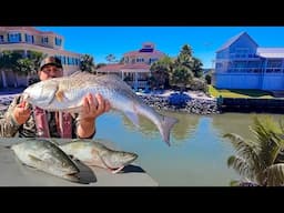 6 Hours Fishing for the Tastiest Saltwater Fish Inshore!! CATCH/CLEAN/COOK