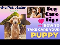 Dog Care Tips || Care Tips For Dogs || How to take care of dogs ? #dogcaretips