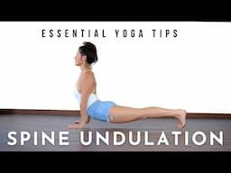 Essential Yoga Tips | Spine Undulation | Meghan Currie Yoga