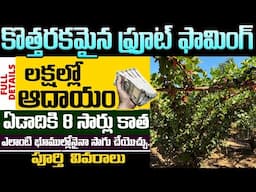 కోట్లు కురిపించే సరికొత్త ఫామింగ్ | Mulberry Fruit Farming Business In Telugu | #moneyfactorytelugu