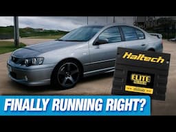 Is the BA XR6T Finally Running Right? Plus a look into it's Haltech brain!