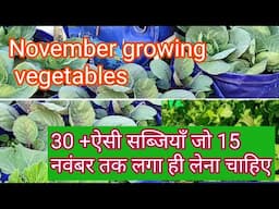 Last Minute November Gardening Tips