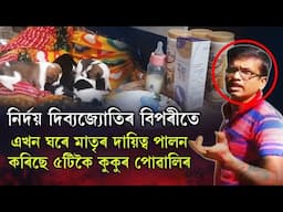 নিৰ্দয় দিব্যজ্যোতিৰ বিপৰীতে ; এখন ঘৰে মাতৃৰ দায়িত্ব পালন কৰিছে ৫টিকৈ কুকুৰ পোৱালিৰ